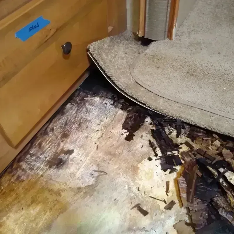 Best Wood Floor Water Damage Service in Coconino County, AZ